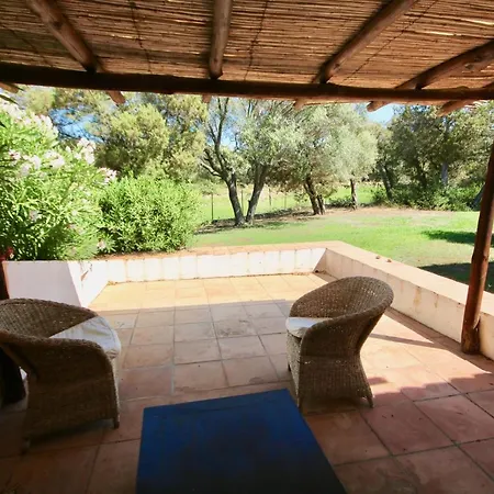 I Fiori Gialli Di Cala Di Volpe *