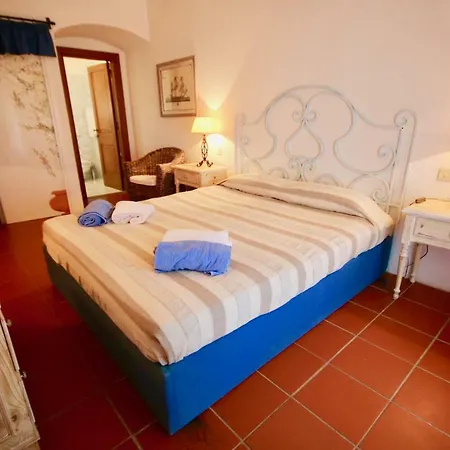 I Fiori Gialli Di Cala Di Volpe
